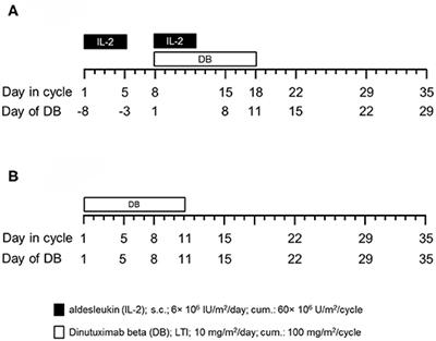 Impact of IL-2 on Treatment Tolerance in Patients With High-Risk Neuroblastoma Treated With Dinutuximab Beta-Based Immunotherapy